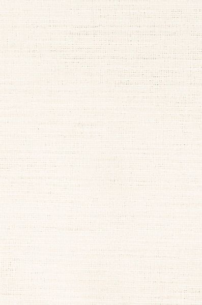 Neutex for you Vorhang "Biella" verdeckte Schlaufen 1 Stk. tlg. HxB: 245x14 günstig online kaufen