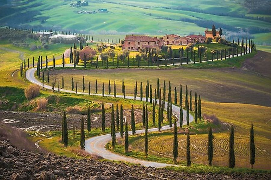 Papermoon Fototapete »Fields in Tuscany« günstig online kaufen