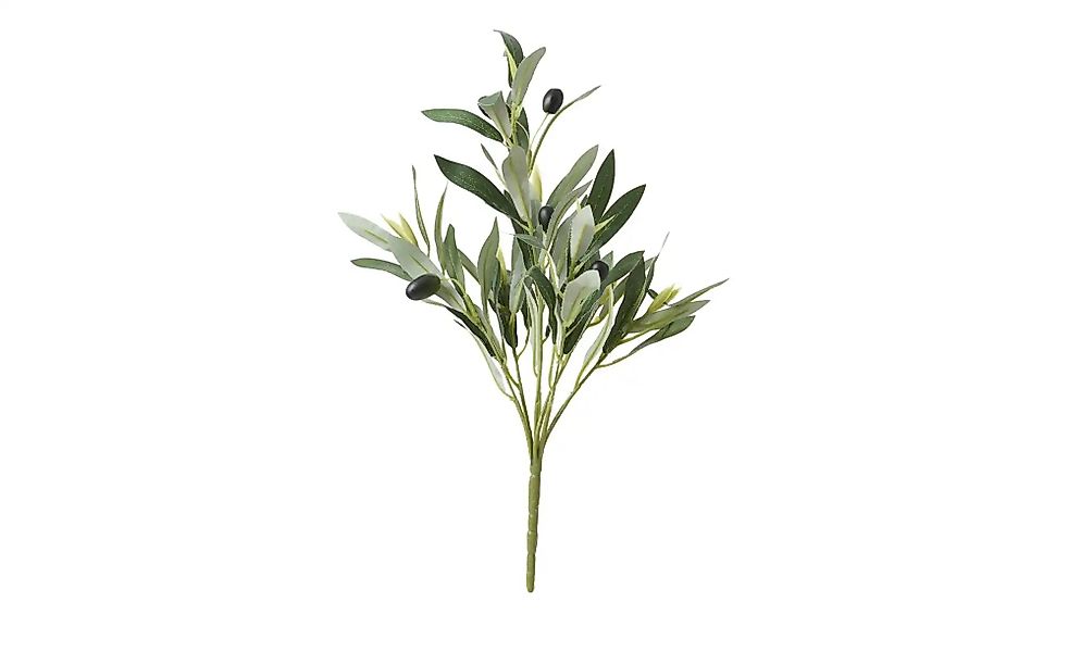 Olivenzweig   ¦ grün ¦ Kunststoff ¦ Maße (cm): H: 39  Ø: 23 Accessoires > K günstig online kaufen