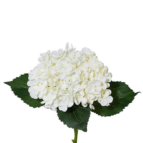 Kunstblume, Gasper, Höhe 53 cm günstig online kaufen