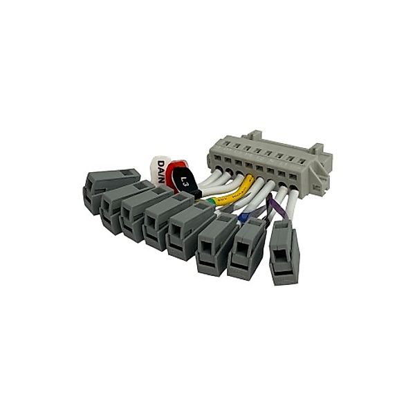 Pracht Ausgangsstecker 8-pol. LINO Ausgang#5711002 günstig online kaufen