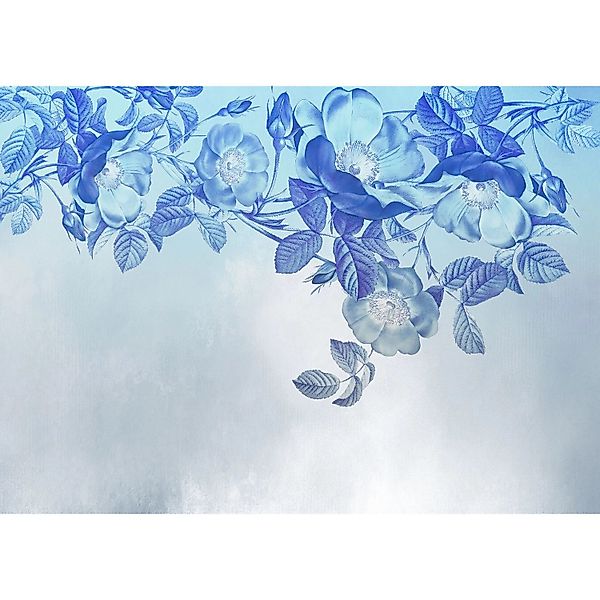 Komar Fototapete Blue Aura Blau 350 x 250 cm 610024 günstig online kaufen