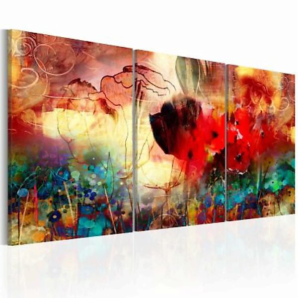 artgeist Wandbild Garden of Colours mehrfarbig Gr. 60 x 30 günstig online kaufen