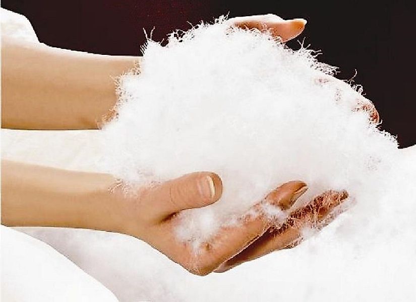 Canada Kopfkissen Canada Dreams canandische Daunen günstig online kaufen