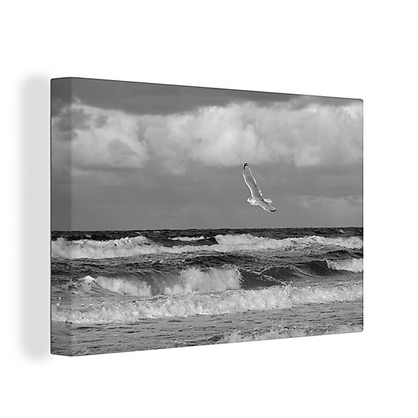 OneMillionCanvasses® Leinwandbild Möwe über der Ostsee günstig online kaufen