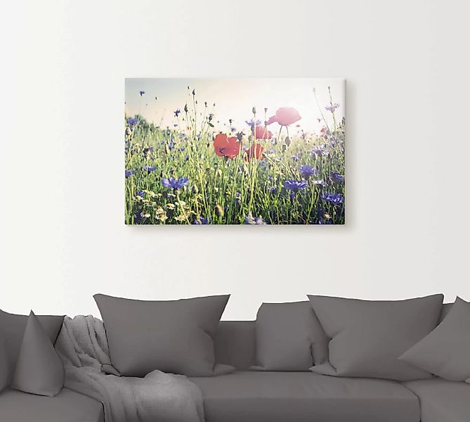 Artland Wandbild "Mohnblume im Feld", Blumen, (1 St.) günstig online kaufen