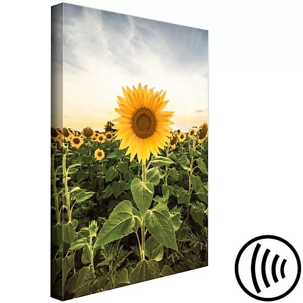 Leinwandbild Sunflower Field (1 Part) Vertical XXL günstig online kaufen