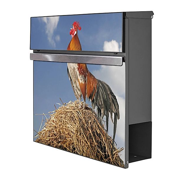 Banjado Briefkasten Anthrazit 37x37x10.5cm Groß / Inkl. Montagematerial & 2 günstig online kaufen