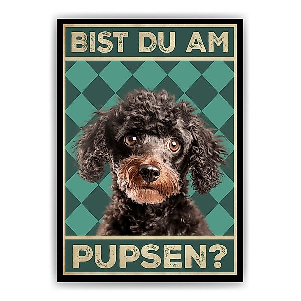 Tigerlino Poster Bist du am Pupsen? günstig online kaufen