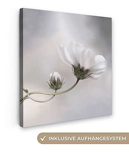 OneMillionCanvasses® Leinwandbild Blumen - Stillleben - Natur - Grau, Fotod günstig online kaufen