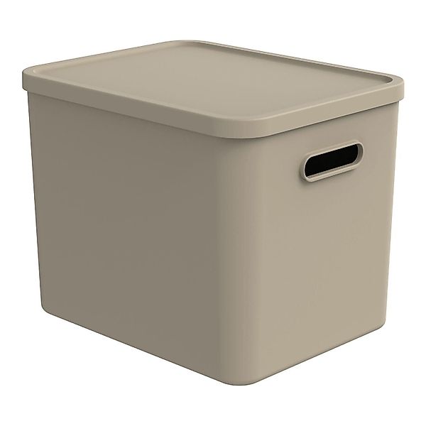 ROTHO Aufbewahrungsbox ALBULA, 27 Liter, Braun, günstig online kaufen