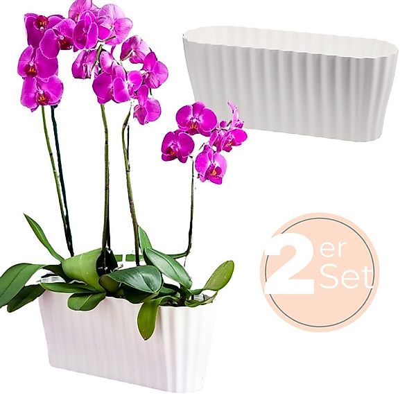 GarPet Blumentopf 2x Orchideentopf Kunstoff Elegant günstig online kaufen