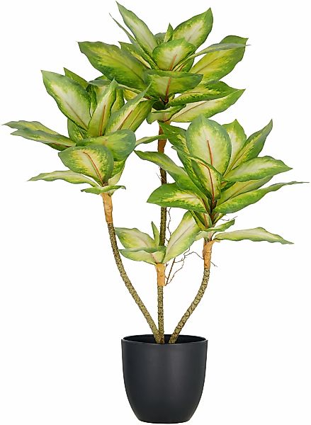 Creativ green Kunstpflanze "Dieffenbachia", mit Luftwurzeln günstig online kaufen