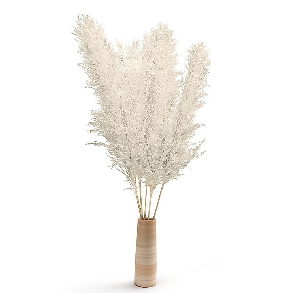 Trockenblume Jumbo Pampasgras 5 Stiele Gelb-120cm günstig online kaufen