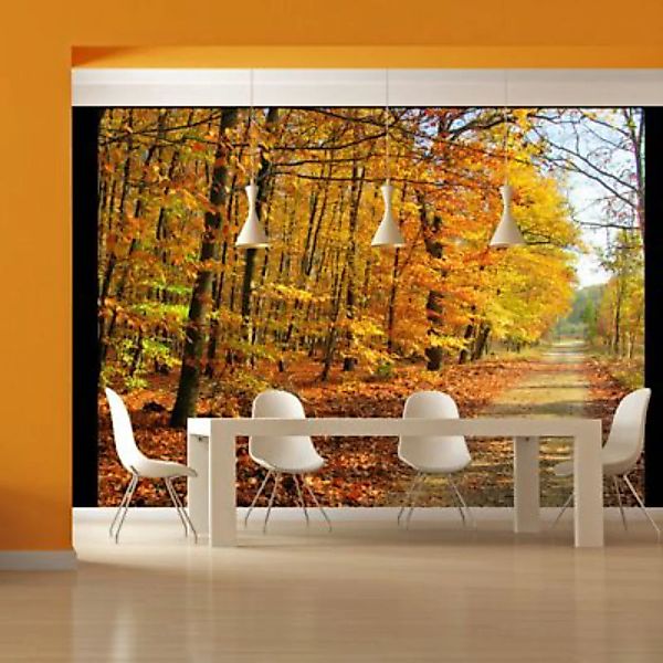 artgeist Fototapete Beech forest mehrfarbig Gr. 400 x 309 günstig online kaufen