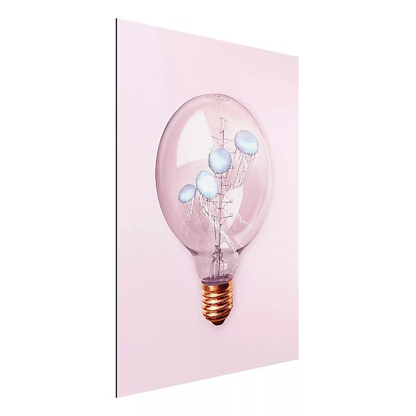 Alu-Dibond Bild Kunstdruck - Hochformat 3:4 Glühbirne mit Quallen günstig online kaufen
