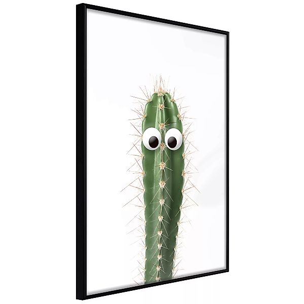 Poster - Funny Cactus I günstig online kaufen