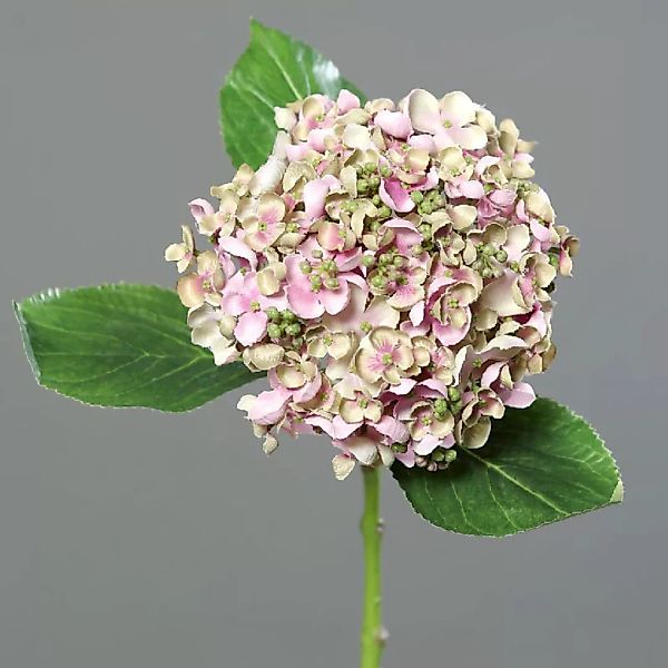Kunstblume Hortensie rosÃ©-cream 44cm günstig online kaufen
