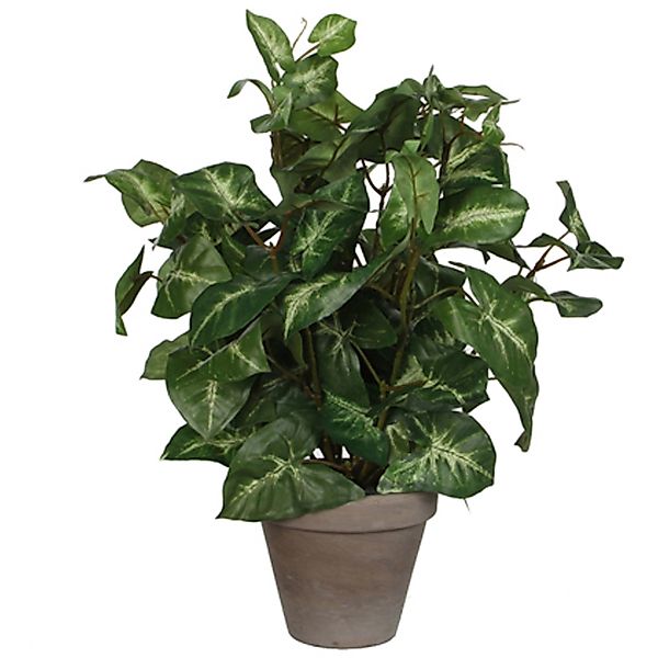 Kunstpflanze Mica Kunstpflanze Syngonium grün im Topf 35 x 25, Mica Decorat günstig online kaufen