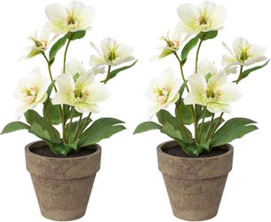 Winterliche Kunstpflanze Weihnachtsdeko Christrose, Creativ deco, günstig online kaufen