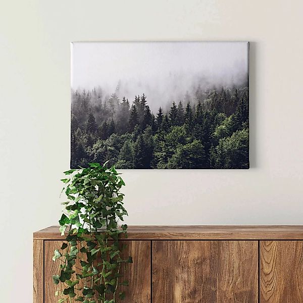Bricoflor Bild Mit Wald In Nebel Tannenwald Bild Auf Leinwand Ideal Für Flu günstig online kaufen
