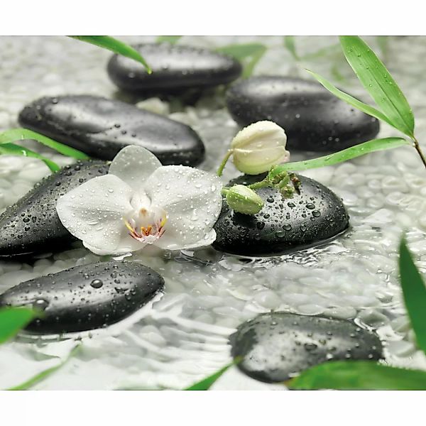 Komar Fototapete Vlies Pure  300 x 250 cm günstig online kaufen