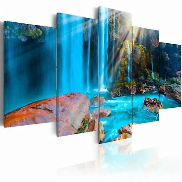 artgeist Wandbild Treasures of Nature mehrfarbig Gr. 200 x 100 günstig online kaufen