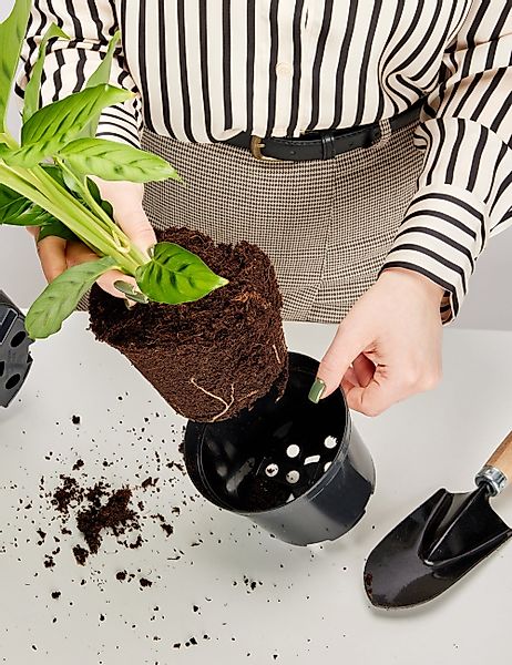 Garronda Blumentopf Blumentopf Kunststoff rund Pflanztopf günstig online kaufen