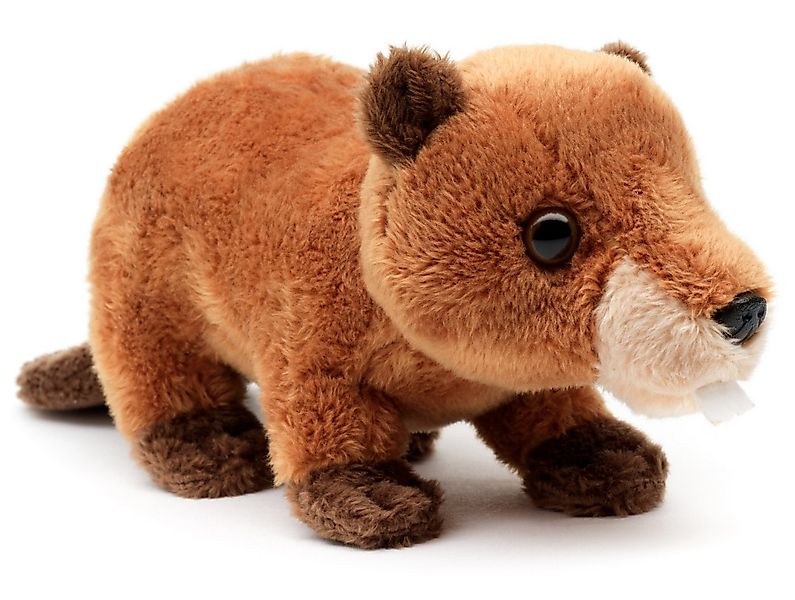 Uni-Toys Kuscheltier Waldtier Plushie - versch. Modelle - 13 cm - Plüsch-Fi günstig online kaufen