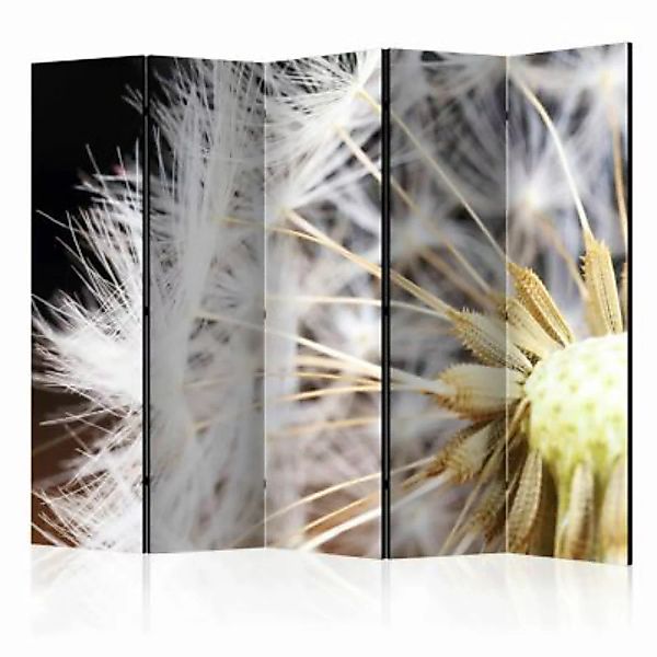 artgeist Paravent Fluffy dandelion II [Room Dividers] mehrfarbig Gr. 225 x günstig online kaufen