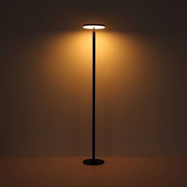 GLOBO LIGHTING LED Außen-Stehlampe, LED-Leuchtmittel fest günstig online kaufen