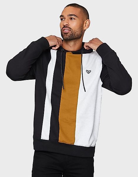 Threadbare Kapuzensweatshirt im angesagten Colour-Block-Design günstig online kaufen