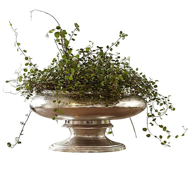 Mirabeau Tischvase Vase Loyère antiksilber günstig online kaufen