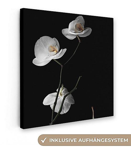OneMillionCanvasses® Leinwandbild Orchidee - Blumen - Schwarz - Weiß - Stil günstig online kaufen