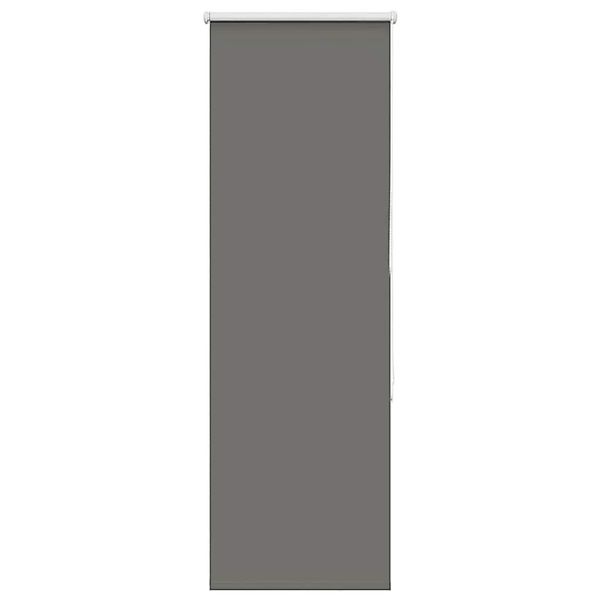 vidaXL Verdunkelungsrollo Grau 55x175 cm Stoffbreite 50,7 cm Polyester 4011 günstig online kaufen