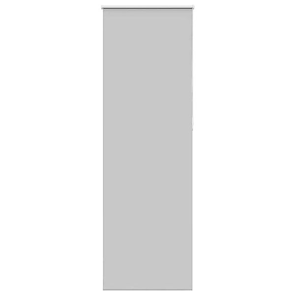 vidaXL Verdunkelungsrollo Hellgrau 65x210 cm Stoffbreite 60,7 cm 4011433 günstig online kaufen