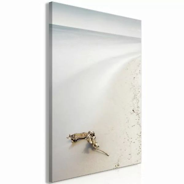 artgeist Wandbild Coast (1 Part) Vertical mehrfarbig Gr. 40 x 60 günstig online kaufen