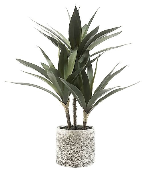 Kunstpflanze KASIAS, Palme, Grün, Beige, Steintopf günstig online kaufen