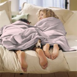 Biederlack Wohndecke "Cotton Home" im Uni Design, Kuscheldecke günstig online kaufen