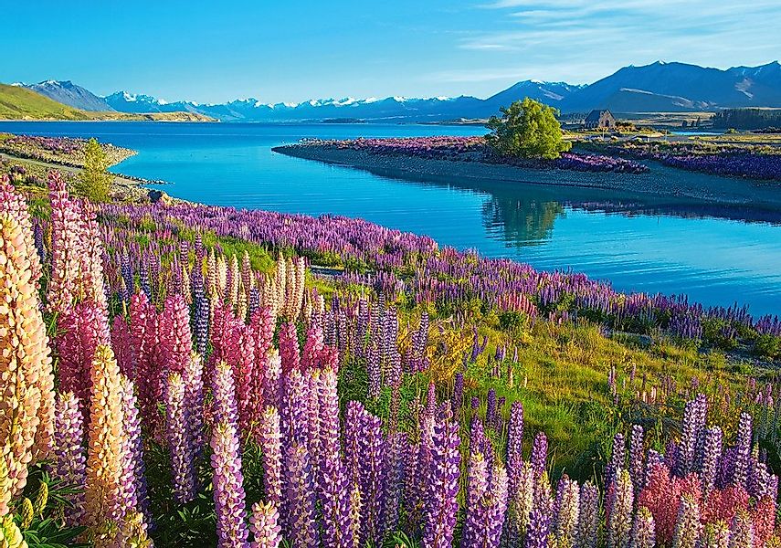 Castorland Puzzle Lake Tekapo, Neuseeland, Puzzleteile günstig online kaufen
