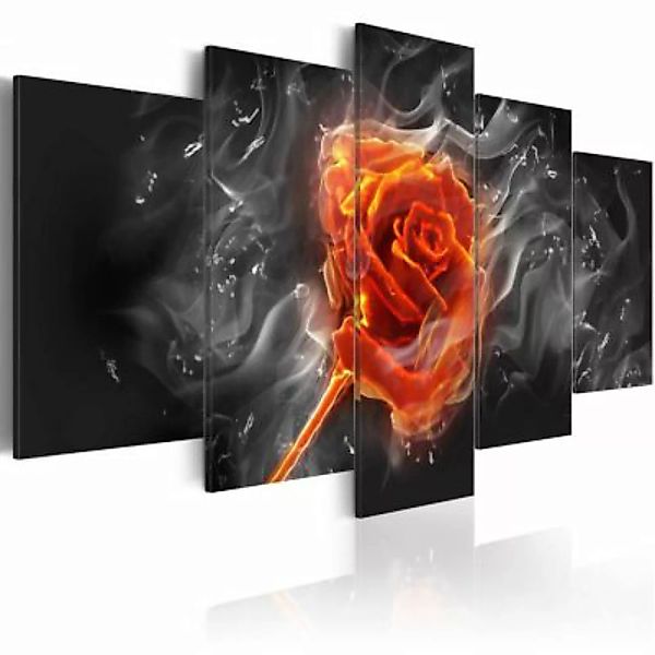 artgeist Wandbild Fiery Rose mehrfarbig Gr. 200 x 100 günstig online kaufen