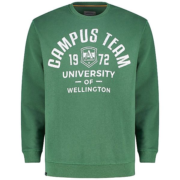 Redfield Sweatshirt mit Print Farbe grün Größe: 7XL günstig online kaufen