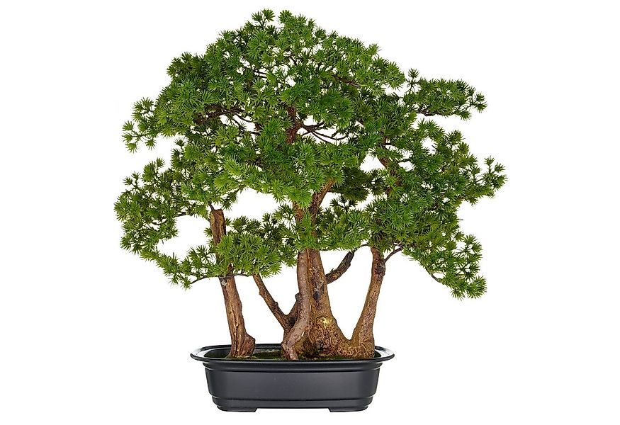 Kunstbonsai Bonsai Larix, Creativ green, Höhe 53 cm, mit detailgetreuer Ges günstig online kaufen