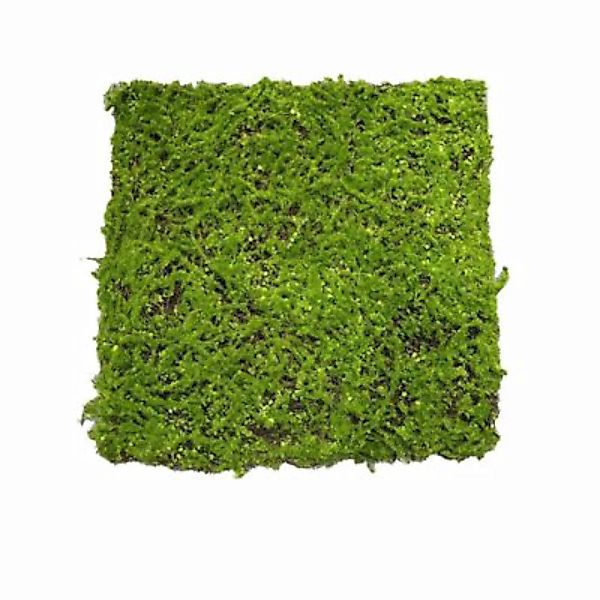 HTI-Living Moosteppich Deko 50 x 50 cm Kunstpflanze Flora grün günstig online kaufen