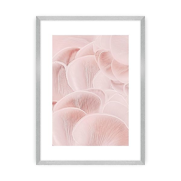 Poster Pastel Pink I, 40 x 50 cm , Ramka: Srebrna günstig online kaufen
