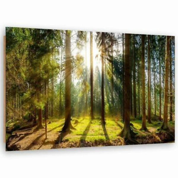 FEEBY® Kunst Sonnenschein hinter den Bäumen Leinwandbilder bunt Gr. 60 x 40 günstig online kaufen