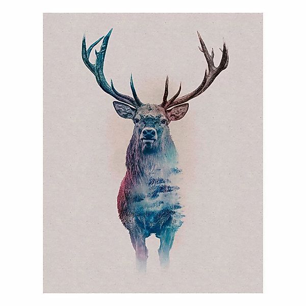 Komar Poster Animals Forest Deer Hirschkopf B/L: ca. 40x50 cm günstig online kaufen