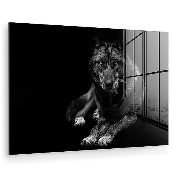MuchoWow Acrylglasbild Tiere - Wolf - günstig online kaufen