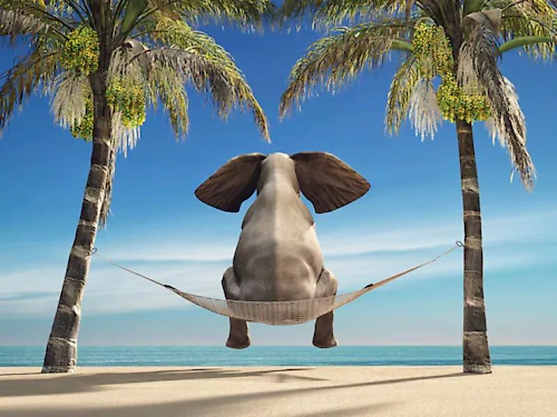 Papermoon Fototapete »Elefant auf Hängematte an Strand« günstig online kaufen