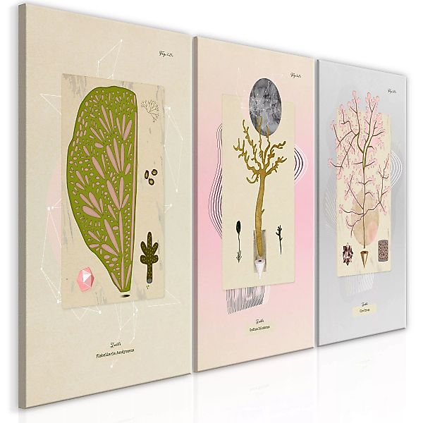 Wandbild - Trees (Collection) günstig online kaufen